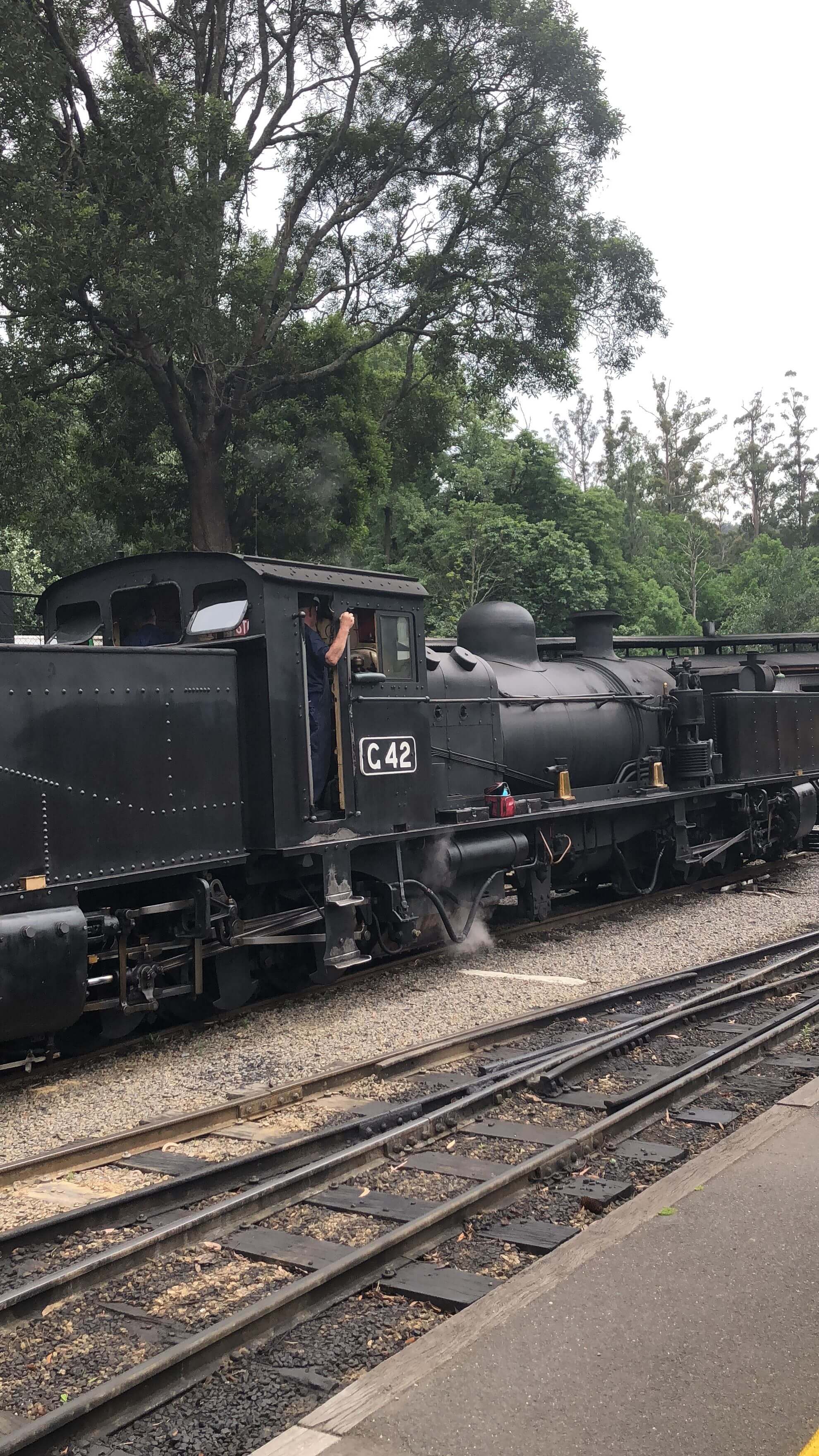 メルボルンの観光地パッフィンビリー鉄道に一番安い乗り方!! 旅ルンルン