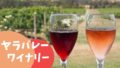 【口コミ】ヤラバレーツアーの体験レビュー！シャンドンのワインも飲める【メルボルンの郊外へ】